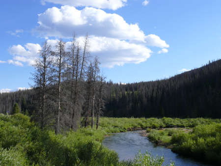 Nature sceneの写真素材