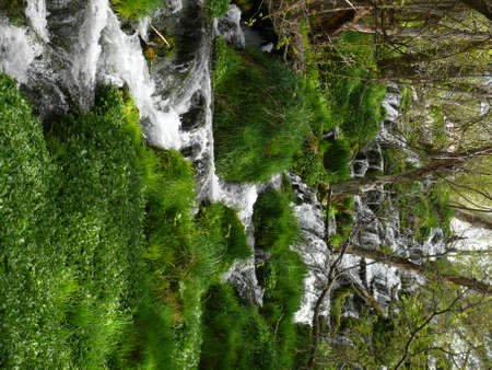 Nature sceneの写真素材