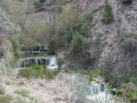 Nature sceneの写真素材