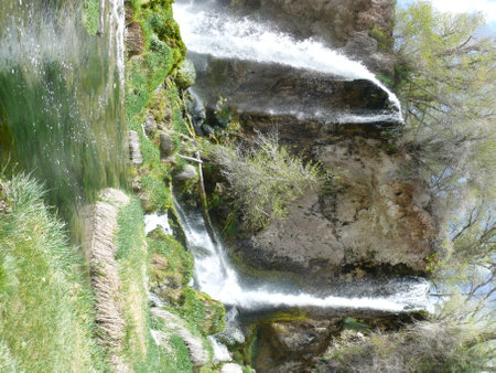 Nature sceneの写真素材