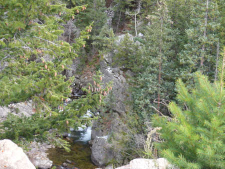 Nature sceneの写真素材