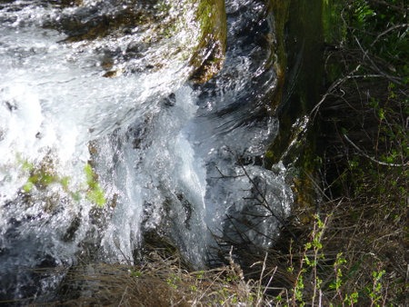 Nature sceneの写真素材