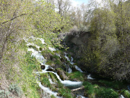 Nature sceneの写真素材