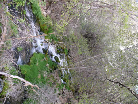 Nature sceneの写真素材