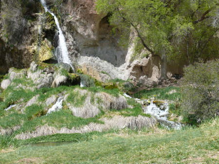 Nature sceneの写真素材