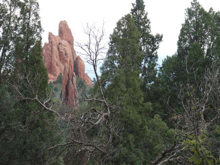 Nature sceneの写真素材