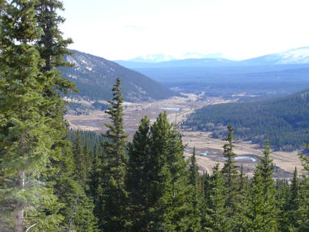 Nature sceneの写真素材