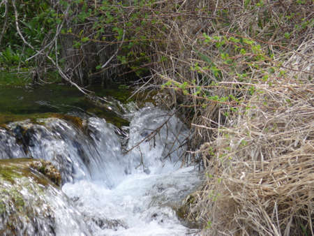 Nature sceneの写真素材