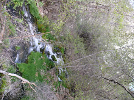 Nature sceneの写真素材