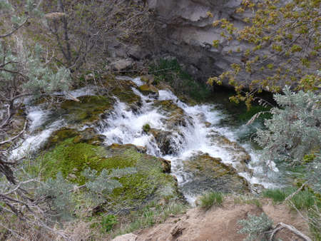 Nature sceneの写真素材