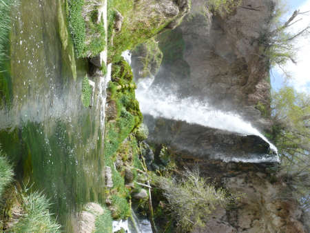 Nature sceneの写真素材