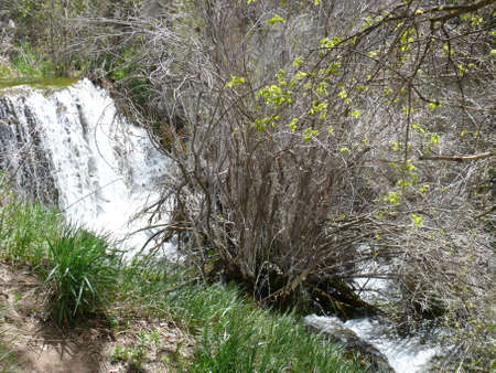 Nature sceneの写真素材