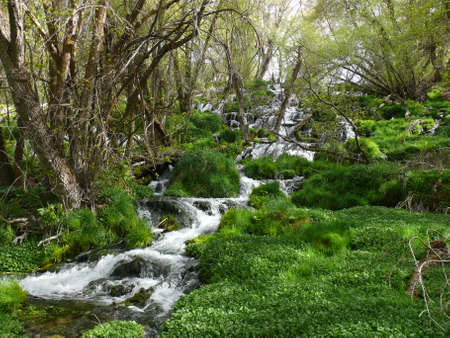 Nature sceneの写真素材