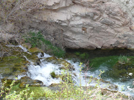 Nature sceneの写真素材