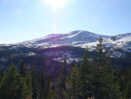 Nature sceneの写真素材