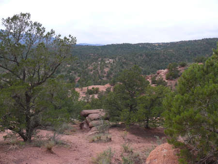 Nature sceneの写真素材