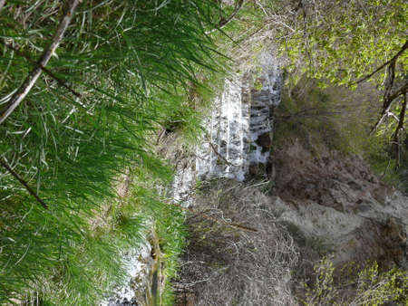 Nature sceneの写真素材