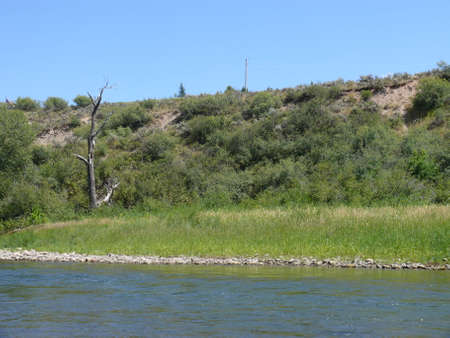 Nature sceneの写真素材