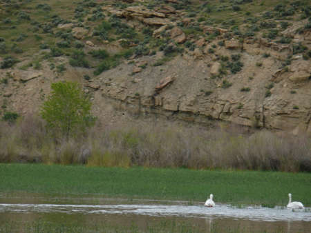 Nature sceneの写真素材