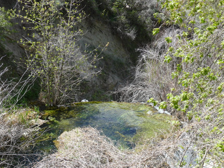 Nature sceneの写真素材