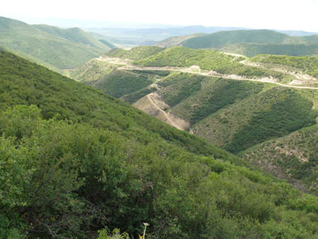 Nature sceneの写真素材