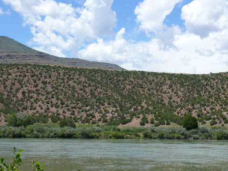 Nature sceneの写真素材