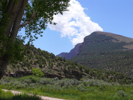 Nature sceneの写真素材