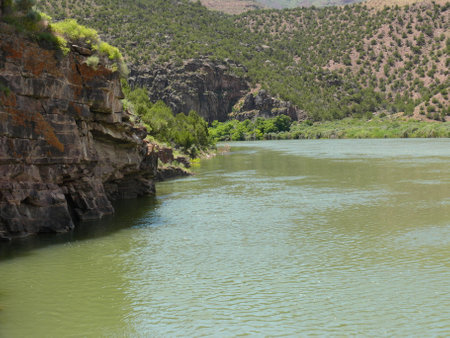 Nature sceneの写真素材