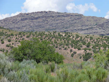 Nature sceneの写真素材