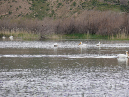 Nature sceneの写真素材