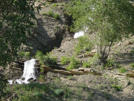 Nature sceneの写真素材