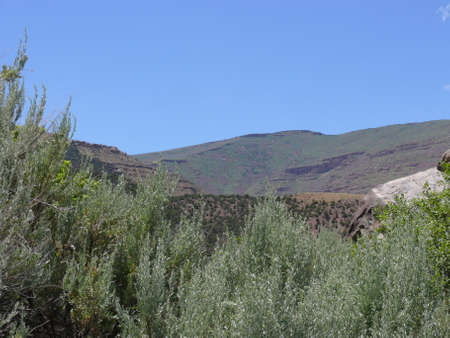 Nature sceneの写真素材