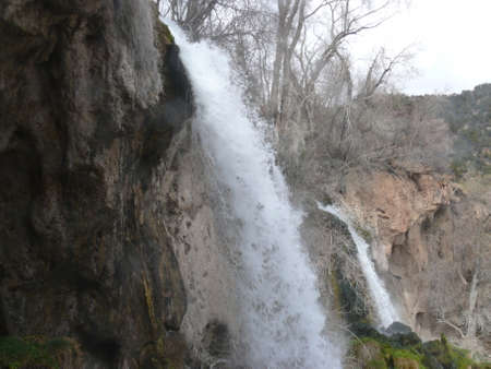 Nature sceneの写真素材