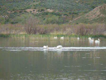 Nature sceneの写真素材