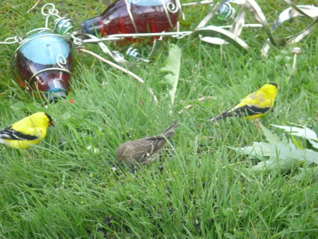 Nature sceneの写真素材