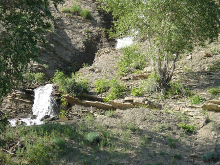 Nature sceneの写真素材