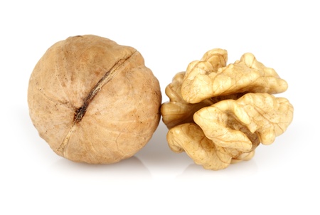 Walnut isolated on white background.の写真素材