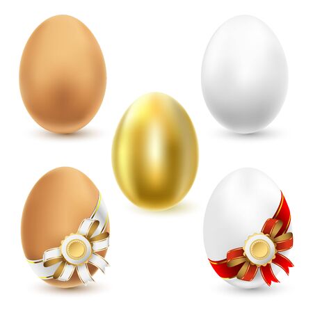 Chicken eggs isolated on white background  Vector のイラスト素材