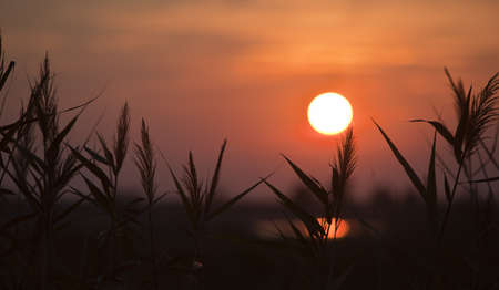 sundownの写真素材