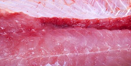 raw meat of salmon 