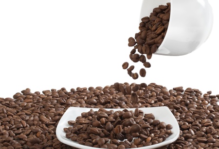 Coffee Beans on White Backgroundの写真素材
