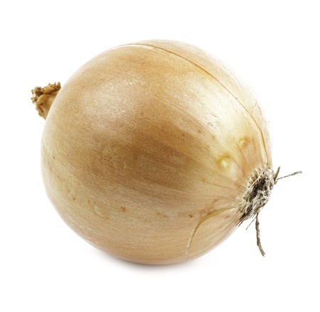 onion Isolated on White Backgroundの写真素材