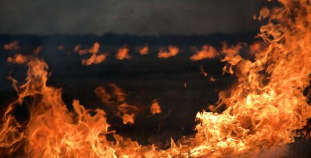 fire on the fieldの写真素材