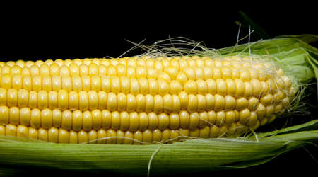 corn on a black backgroundの写真素材