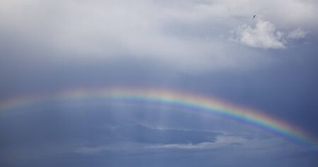 rainbowの写真素材