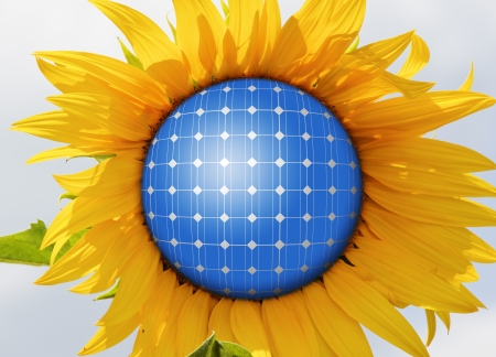 Sunflowers with solar panels in the skyの写真素材