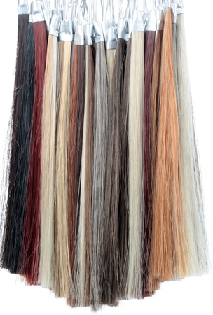 palette of hairs isolated on white backgroundの写真素材