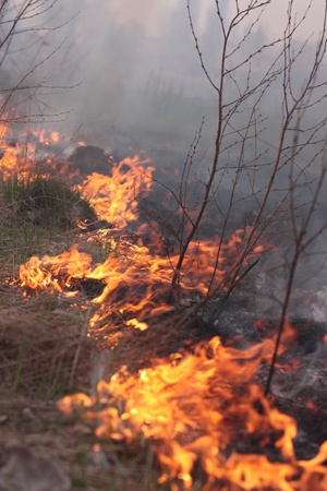 fire on the fieldの写真素材