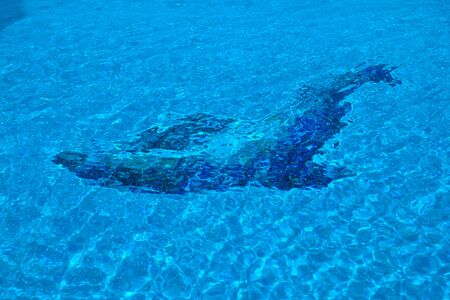 pool backgroundの写真素材