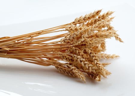 Wheat ears isolated on white backgroundの写真素材